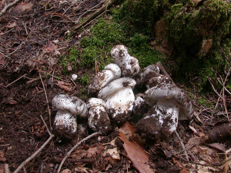 Prima escursione in montagna